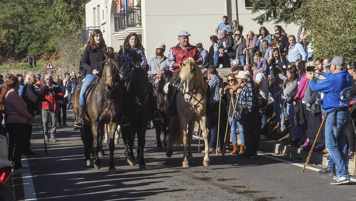 Fotos: La tradicional &#039;pasá&#039; de cabañas ganaderas por Cieza