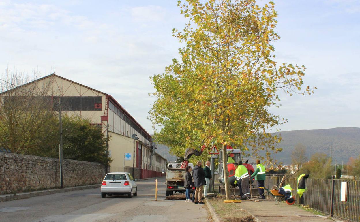 Obras en el Paseo de Alejandro Calonge. 