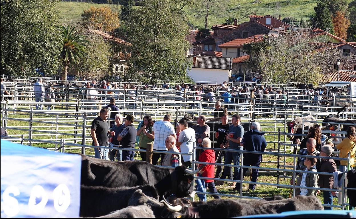 La popular feria ganadera ha atraído a cientos de visitantes.