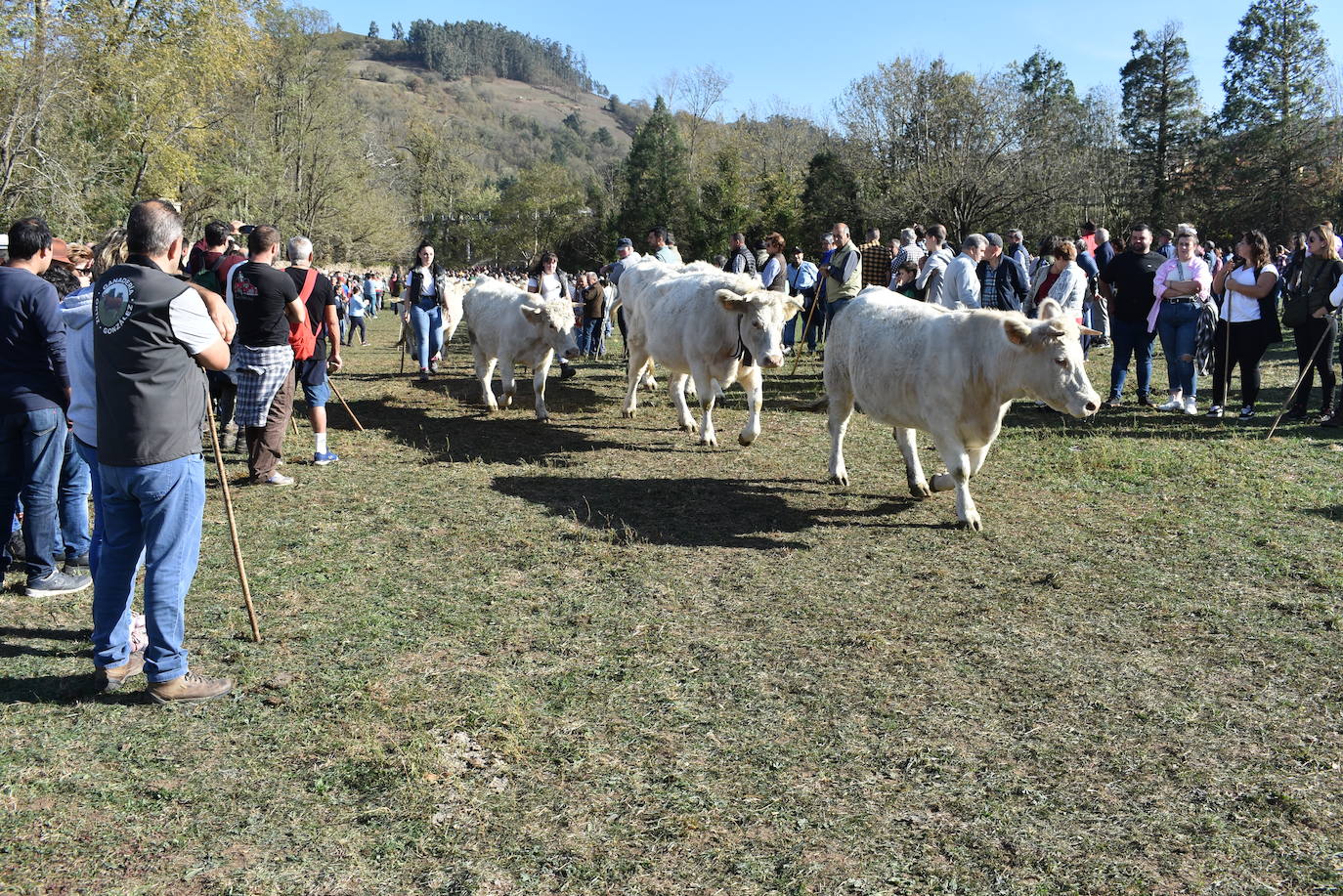 Fotos: La feria de Arenas de Iguña, en imágenes