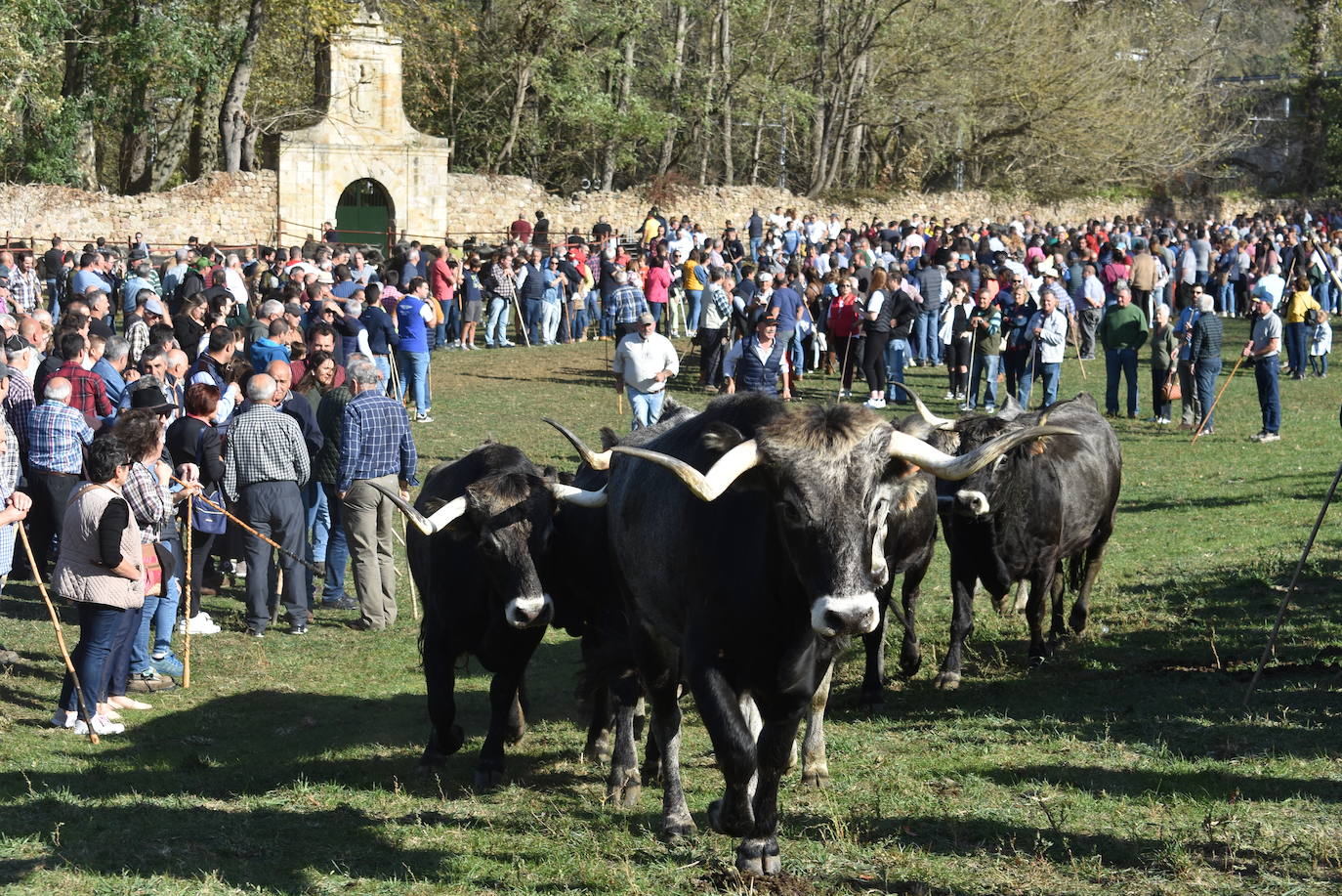 Fotos: La feria de Arenas de Iguña, en imágenes