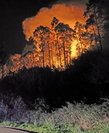 Imagen secundaria 2 - Un incendio calcina media hectárea en Udías