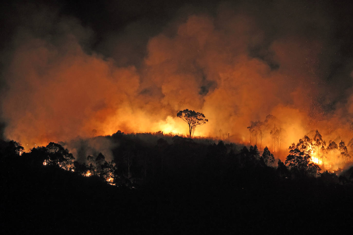 Imagen secundaria 1 - Un incendio calcina media hectárea en Udías