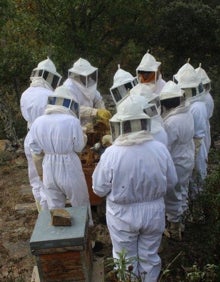 Imagen secundaria 2 - El grupo de estudiantes que se desplazó a Umbralejo (foto superior) y en las imágenes inferiores realizando los distintos talleres y tajos. 