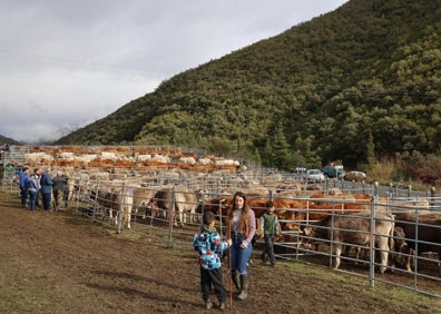 Imagen secundaria 1 - La concentración ganadera de Vega de Liébana reúne a 950 ejemplares