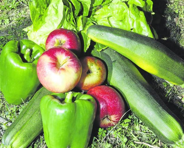 Frutas y verduras con una estética que no cumple con los cánones de belleza en la materia. 