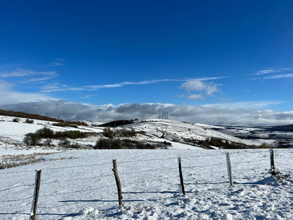 Fotos: Imágenes de nieve en el Sur de Cantabria: Valderredible y Valdeolea