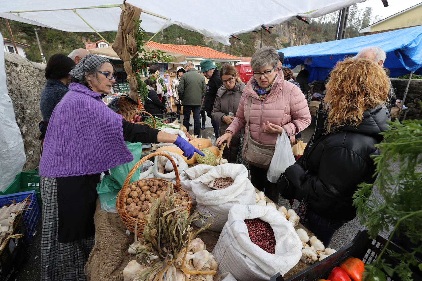 Fotos: Feria de la Alubia y la Hortaliza de Casar de Periedo, este domingo