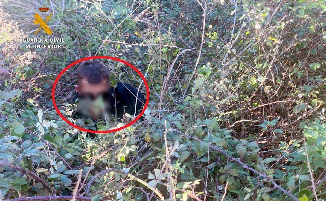 Imagen del ladrón atrapado en el zarzal. 