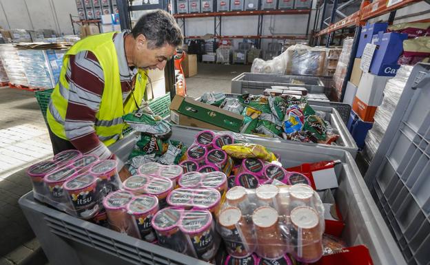 Voluntarios del Banco de Alimentos de Cantabria, este lunes, en el almacén, ordenan las cajas de comida que llegan de la Gran Recogida. 