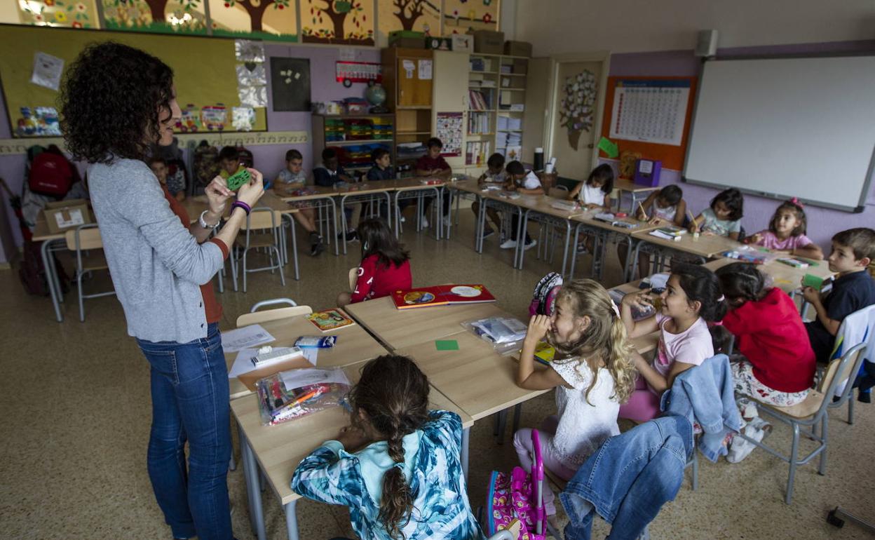 Los docentes ante la Lomloe: «Nos sentimos solos en este desierto»