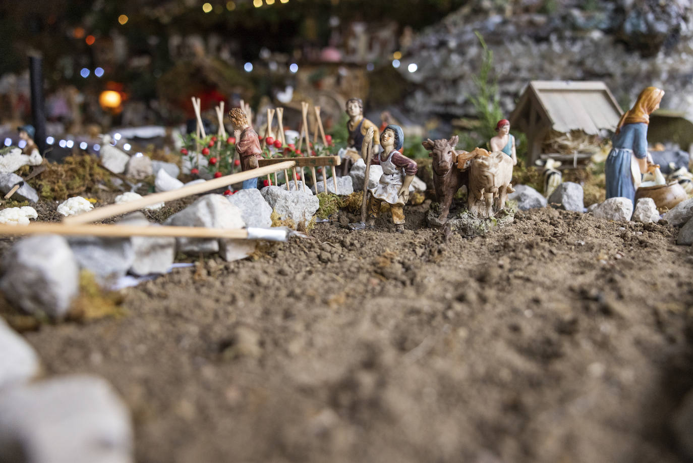 Fotos: El belén de Piedad y Manolo, al detalle