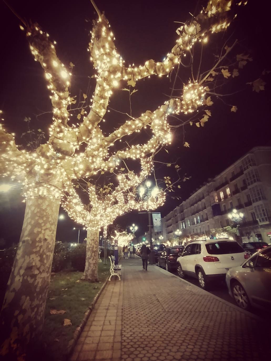 Belén Ramos envía una foto del Paseo Pereda de Santander. Y es que para ella, la ciudad en Navidad está "impresionante".