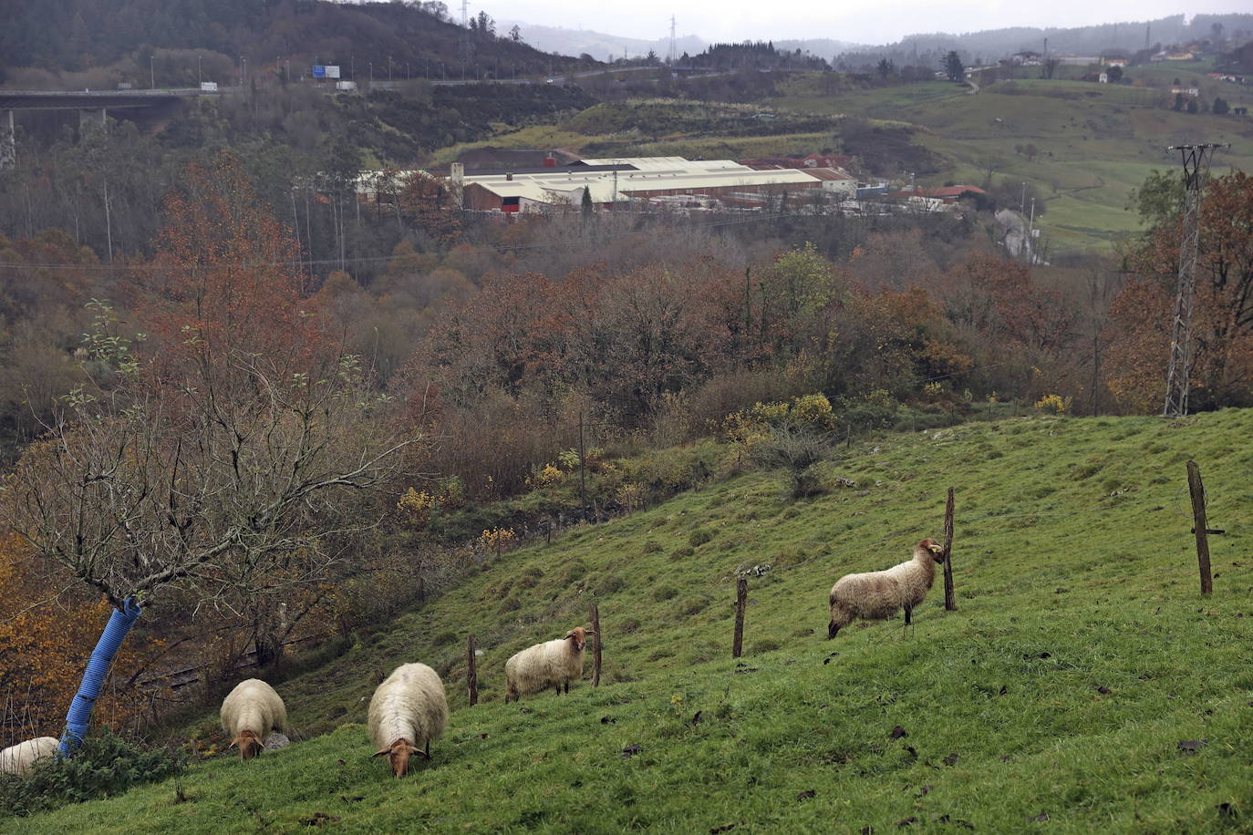 Terrenos de la antigua Tejera de Cabezón de la Sal donde se proyecta instalar la planta de biogás.