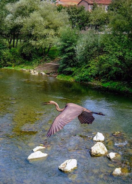 Imagen - La fotografía ganadora del certamen / Itziar Güemes Careaga
