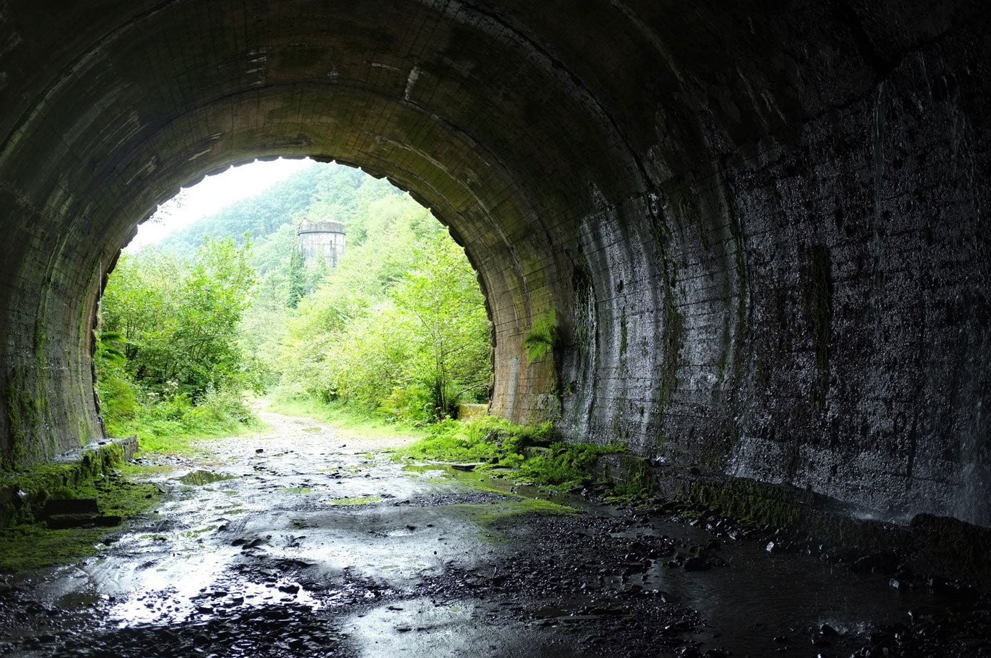 Veinte años se tardaron en abrir este túnel, conectando Vega de Pas con Pedrosa de Valdeporres, en Burgos, para el ferrocarril que debía unir Santander con el Mediterráneo. El proyecto ferroviario cayó en el olvido. Ahora se le intenta dar algún uso turístico.