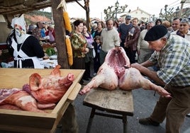 Escena de la matanza del chon en la Feria de la Alubia en Casar de Periedo