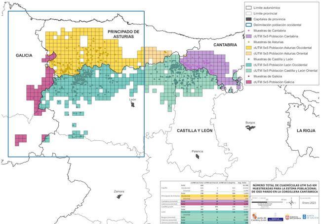 Mapa de la población de osos en la Cordillera Cantábrica.