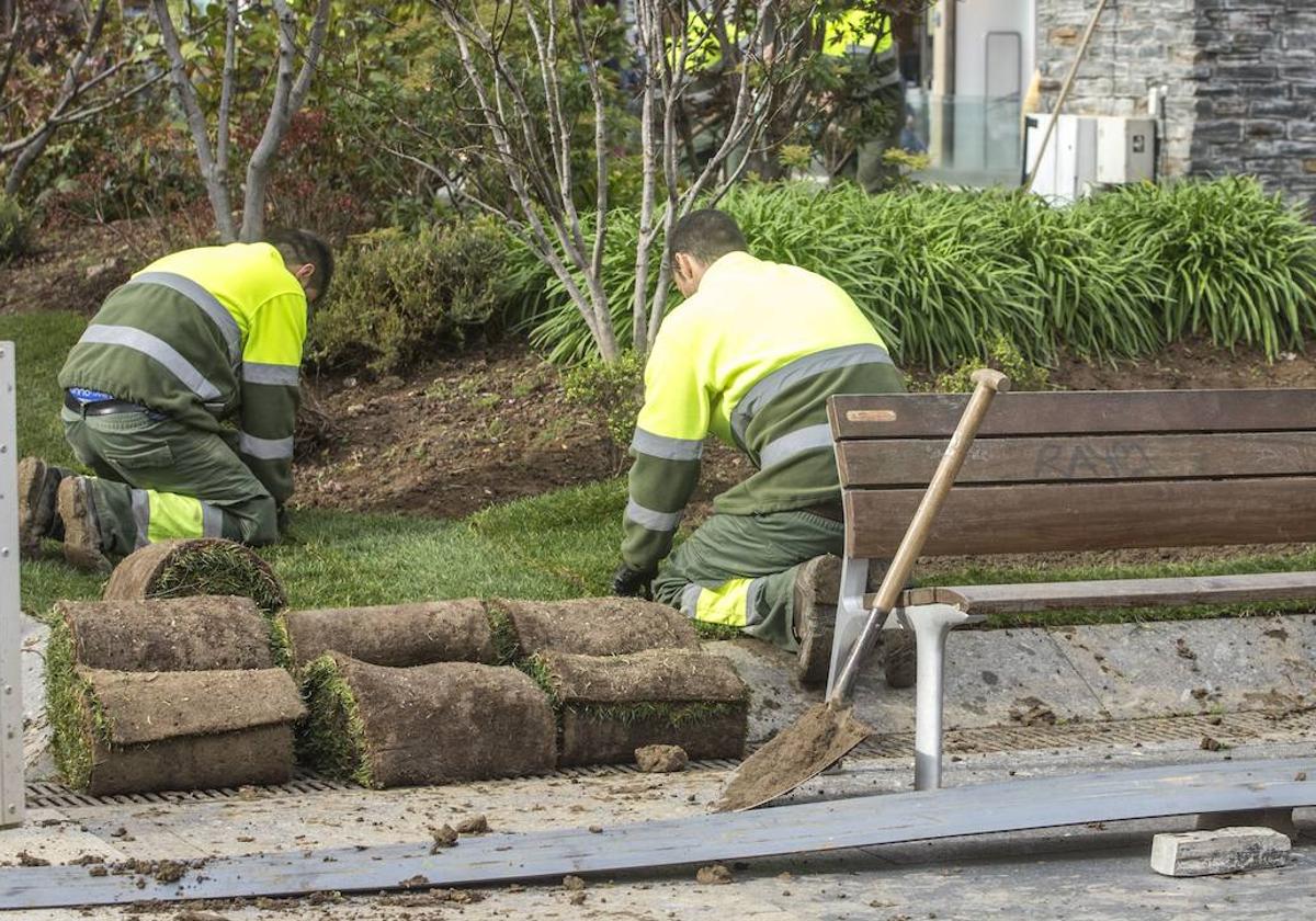 Operarios del servicio de parques y jardines de la anterior adjudicataria en plena faena en Santander