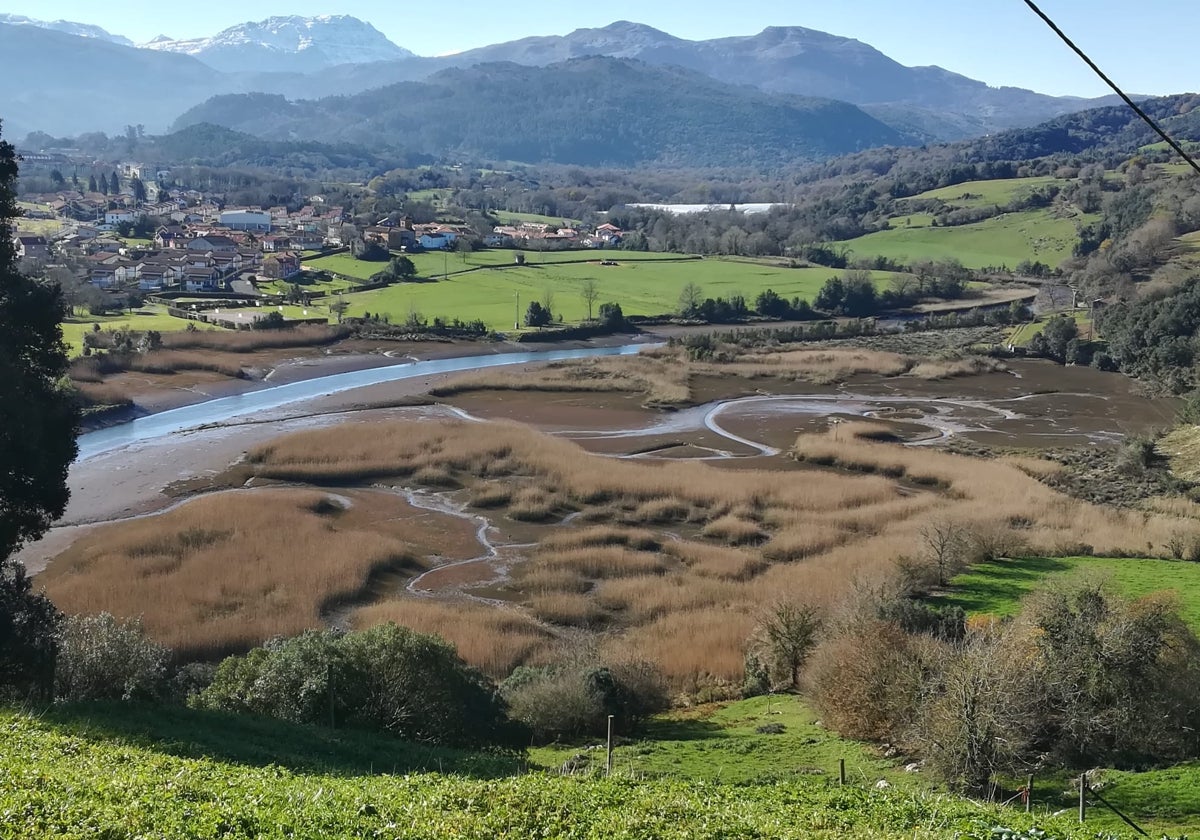 Vista general del emplazamiento de la ría de Rada en el que se han ubicado los posaderos y la plataforma de nidificación, en un bucólico paraje