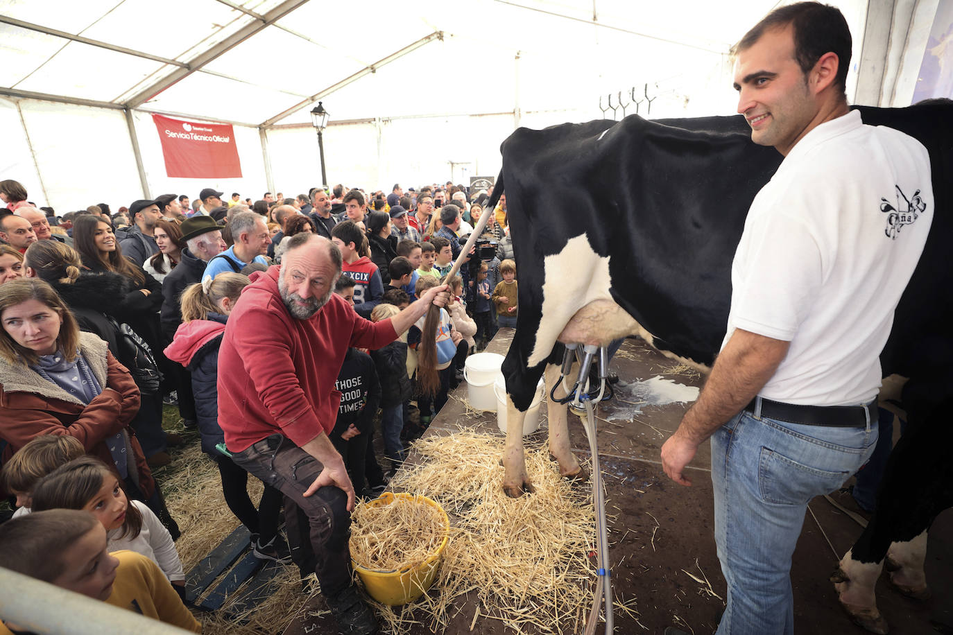 Los ganaderos explicaron todos los detalles sobre el manejo de los animales y el ordeño automático