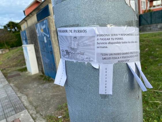 Anuncio de un paseador de perros pegado en una farola de la zona de Peñacastillo