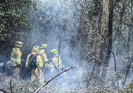 Labores de extinción en la ladera norte de Peña Cabarga