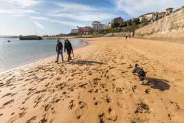 La disputa de las playas santanderinas: todo parado, menos la arena