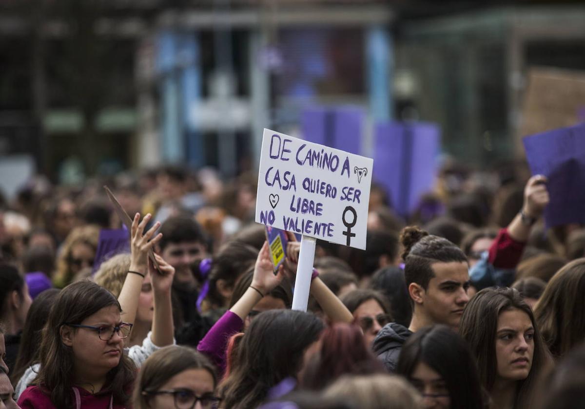 Manifestación del 8-M en Santander.