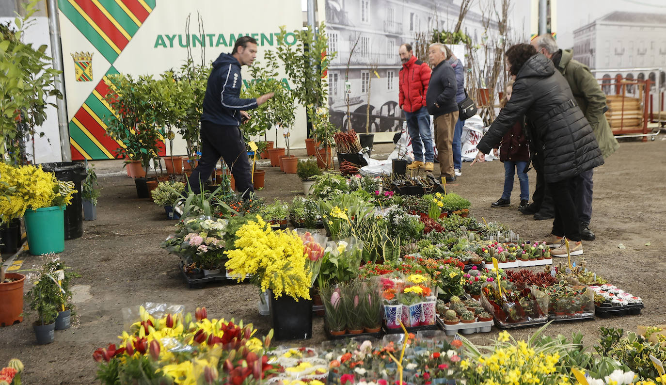 La sección de jardinería recibió a decenas de interesados durante la cita.