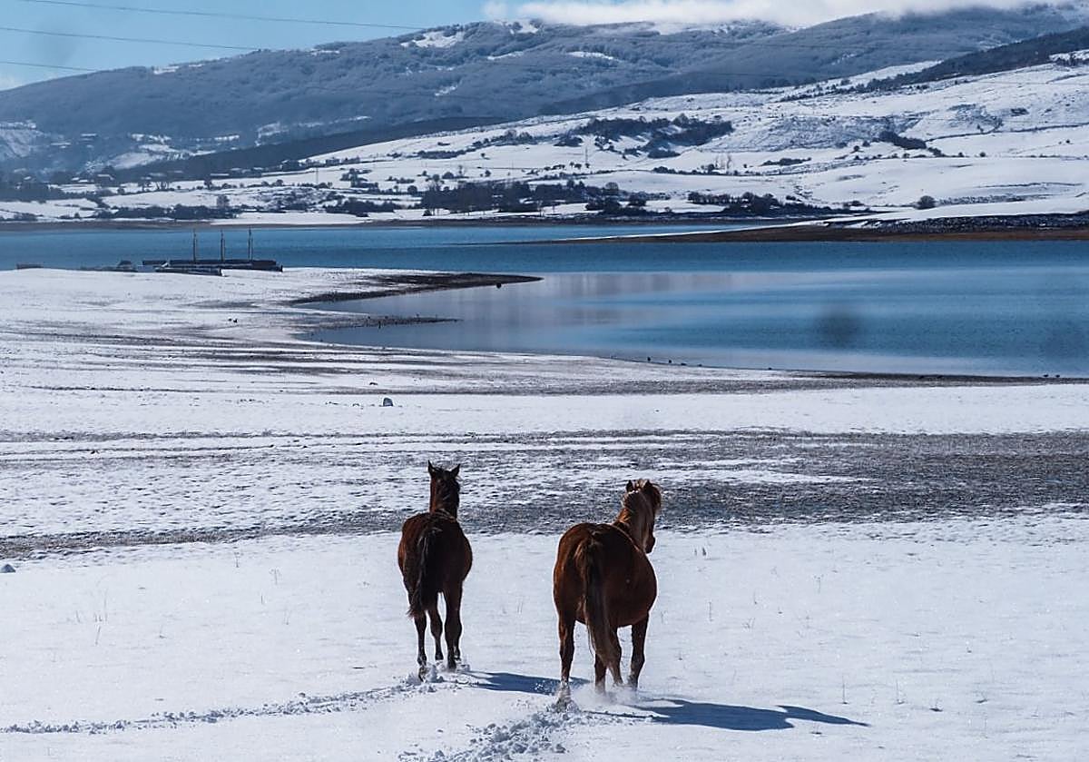 El pantano del Ebro se viste de blanco
