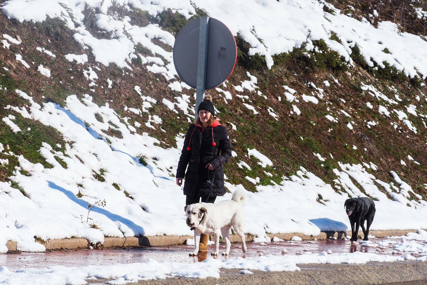Una vecina de Monegro pasea por la carretera con sus dos mascotas.