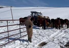 Campoo se cubre de nieve