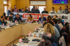 Una decena de trabajadores de Aspla, en huelga desde hace un mes, se ha presentado en el Pleno de este martes