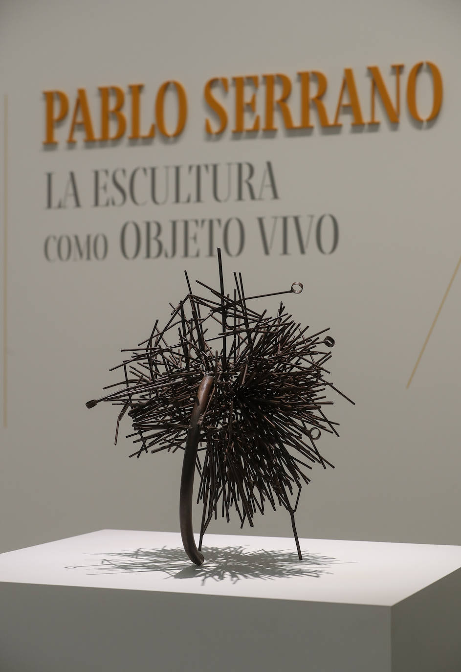 La muestra propone un recorrido entre varias series de la producción artística de Pablo Serrano, como 'Hierros', 'Quemas y dramas', 'Ritmos en el espacio' y 'Bóvedas'.