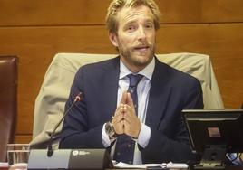 El director general de Transportes, Felipe Piña, en un momento de su comparecencia en el Parlamento.