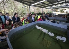 Escolares del Príncipe de Asturias de Ramales, junto a los consejeros Blanco y Lombó, miran uno de los tanques de cría de salmón del Centro Ictiológico de Arredondo