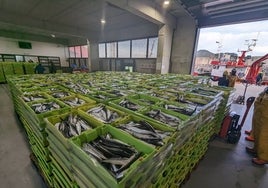 Las cajas descargadas en el interior de la lonja esperan el comienzo de la subasta antes de ser transportadas a las pescaderías