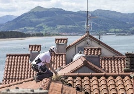 Campaña de control de gaviotas en Santoña en años previos.