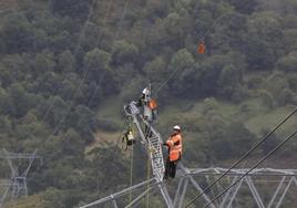 Funcionarios de Red Eléctrica instalando protectores para os quebrantahuesos.