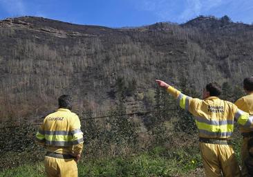 Santa Lucía llora por sus robles y abedules