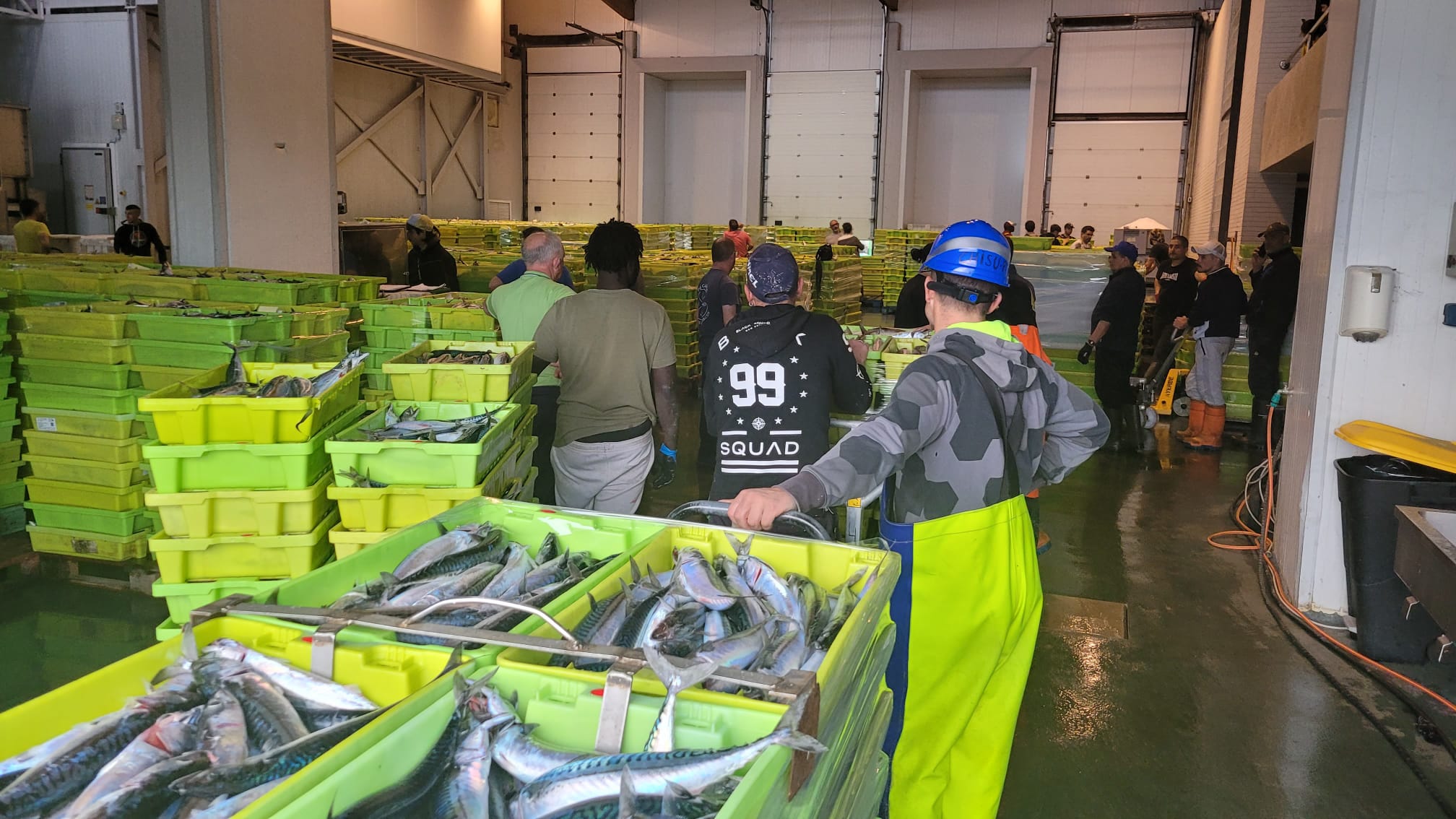 La lonja de San Vicente repleta de cajas de pescado