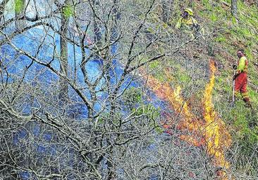 El Rey traslada a Revilla su preocupación por los incendios