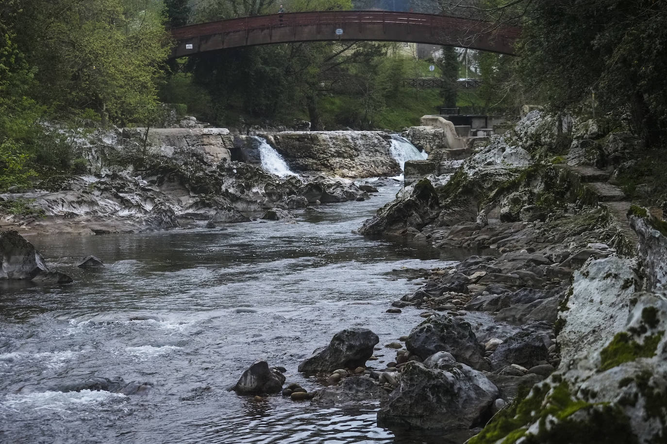 Uno de los cotos de Puente Viesgo en los que es habitual, en temporadas normales, que salga el campanu cántabro