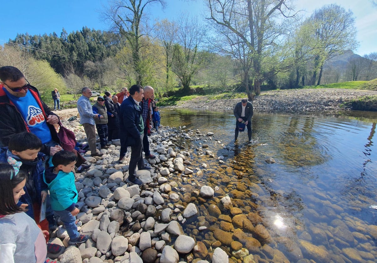 Los alevines de trucha repueblan el río Nansa