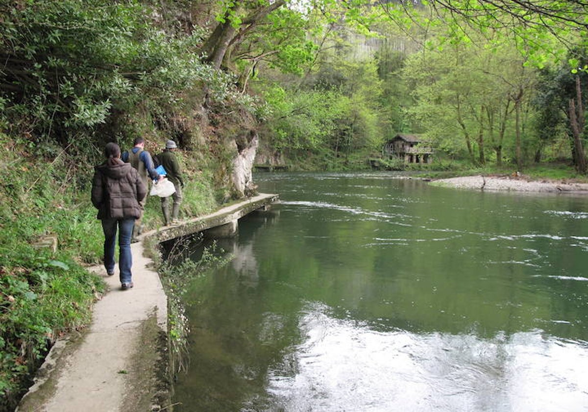 El río Asón será el eje vertebrador de esta iniciativa destinada a mejorar la gestión del territorio.