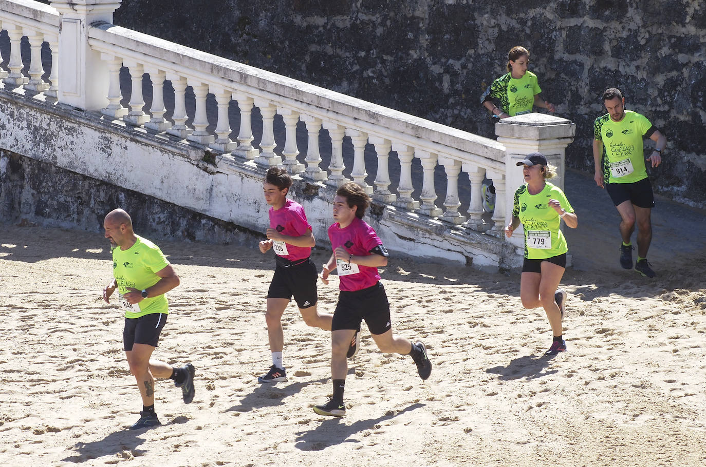 Los participantes completaron un recorrido que transcurrió por la playa de Los Peligros, La Magdalena, las playas del Camello, la Primera y Segunda del Sardinero y Los Jardines de Piquío y de ahí hasta Mataleñas