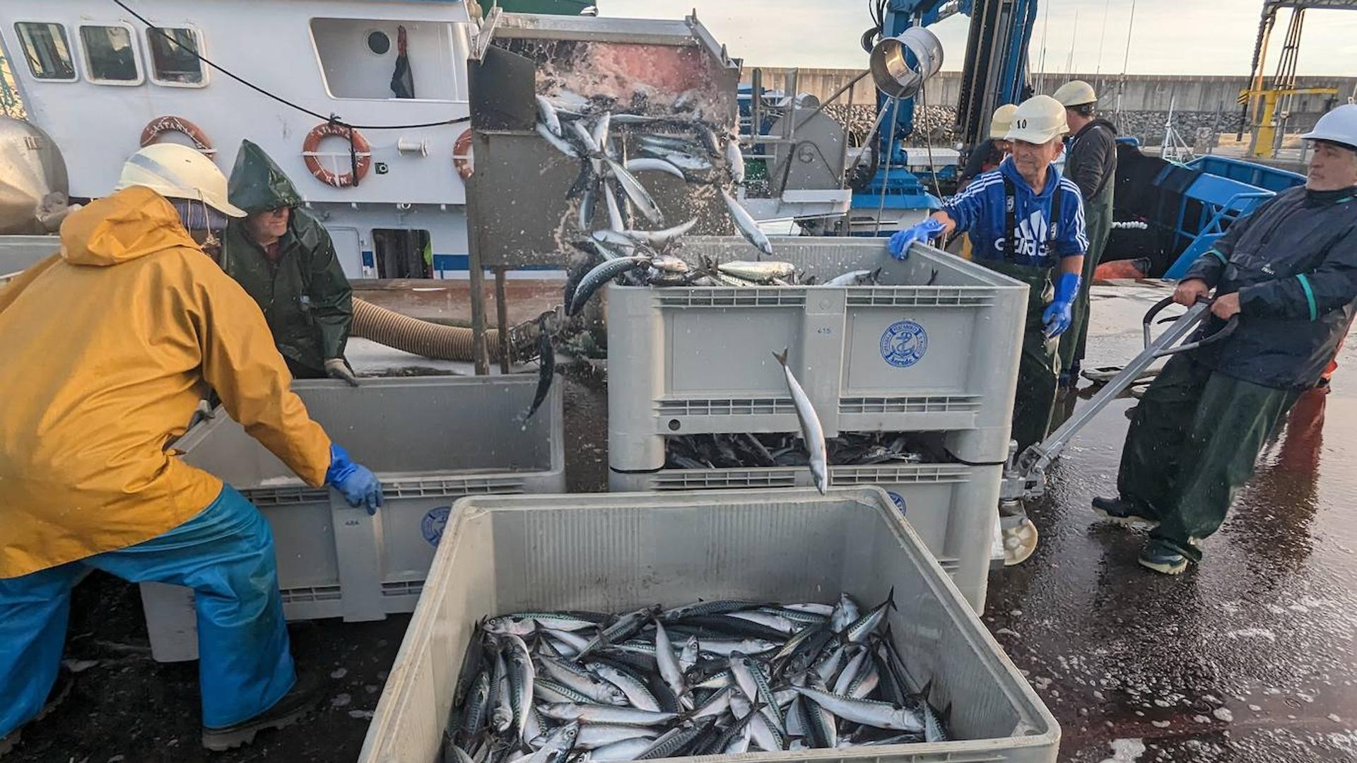 Industria pesquera en declive