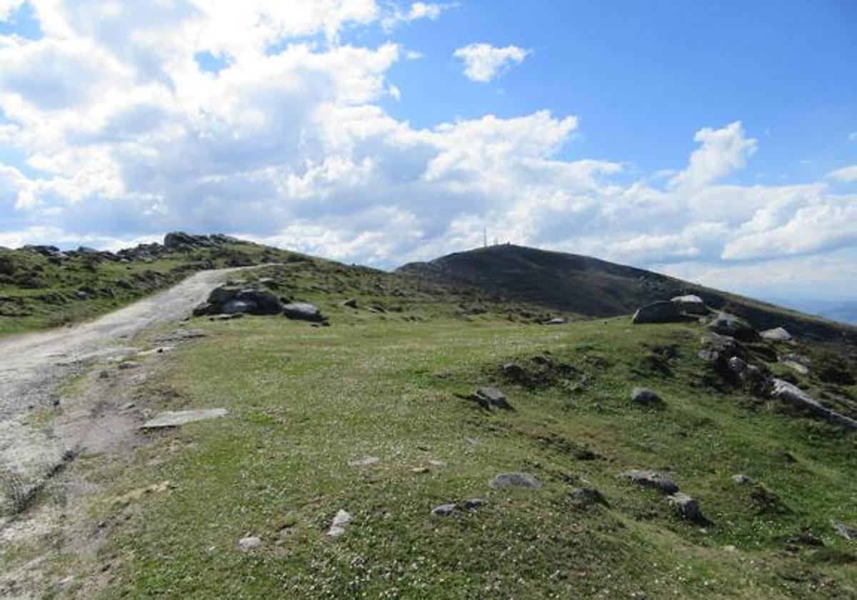 ruta