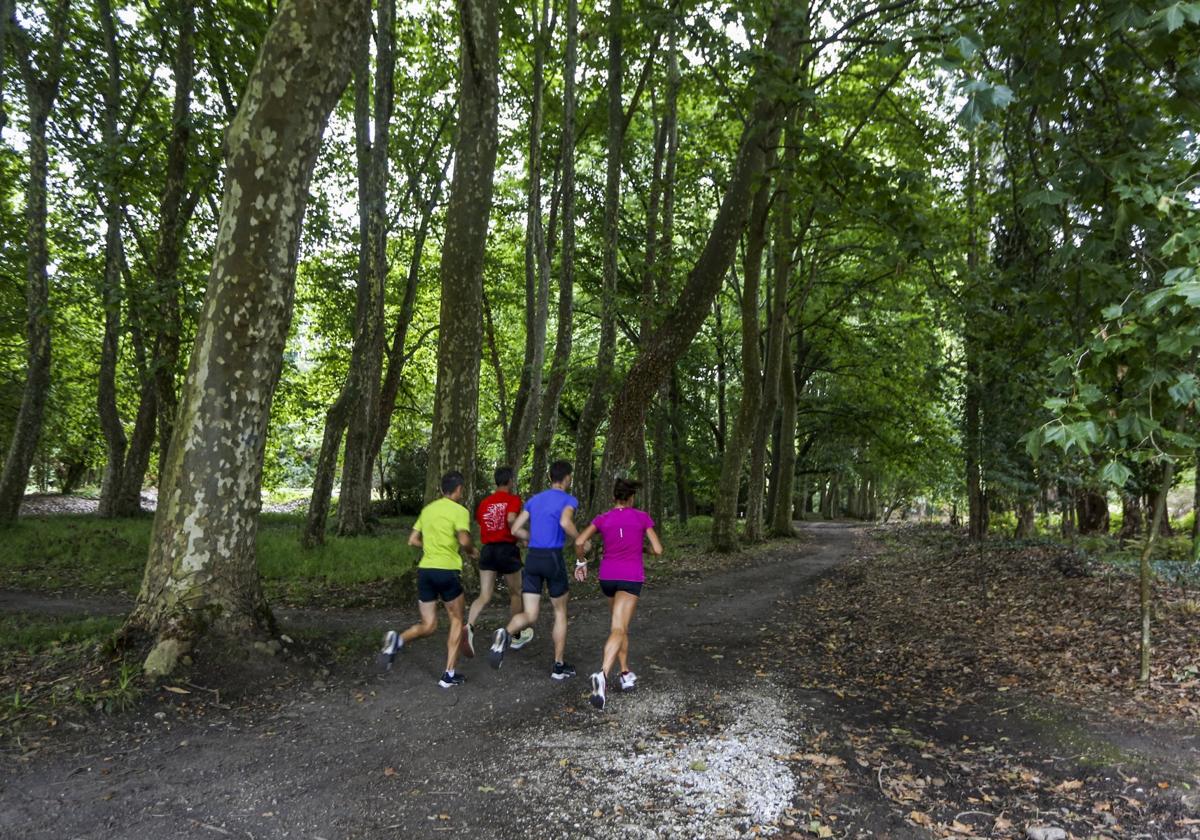 Un grupo de atletas entrena en el parque de Las Tablas, conocido popularmente como El Patatal.